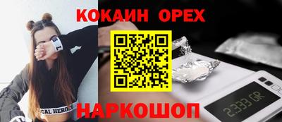 альфа пвп Новодвинск