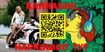альфа пвп Новодвинск