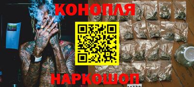 прущие грибы Новокубанск