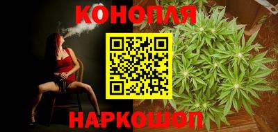прущие грибы Новокубанск