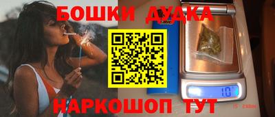 альфа пвп Новодвинск