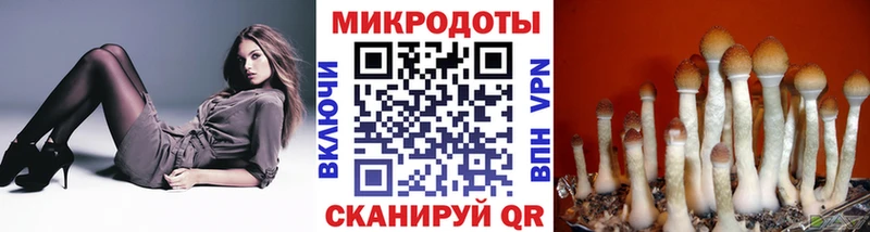 Галлюциногенные грибы мухоморы  наркошоп  Арсеньев 
