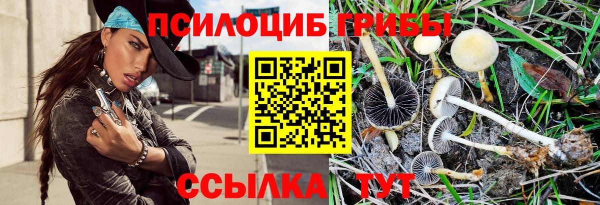 Псилоцибиновые грибы GOLDEN TEACHER Арсеньев
