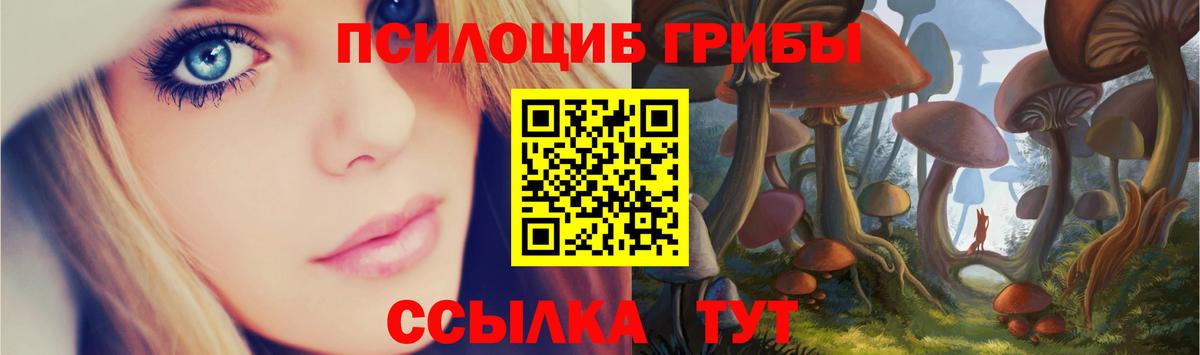 купить наркоту  Вход с VPN  Псилоцибиновые грибы GOLDEN TEACHER  Арсеньев  Галлюциногенные грибы Magic Shrooms 
